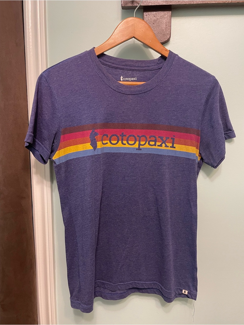 Cotopaxi Purple Logo Tee with Multicolor Stripes